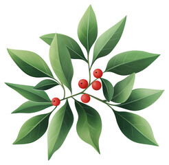 Bright red berries nestled among lush green leaves in a botanical illustration isolated on transparent background.