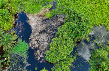 Green expanse of trees and water streams in rural areas. Bushes and water bodies. The outskirts of a residential area in East Kotawaringin, Central Kalimantan, Indonesia.