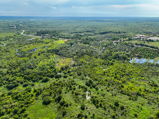Natural scenery of rural areas, aerial view of green expanse of scrubland and oil palm plantations. Located in Kota Waringin Timur, Central Kalimantan, Indonesia.