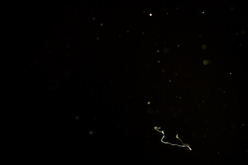 blurred sparks from fire in front of black background