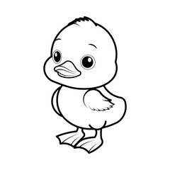 Duck on white background