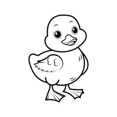 Duck on white background