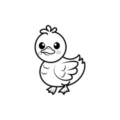 Duck on white background