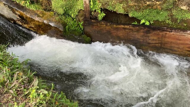 Close up view of river currents or water ripples. Clear fresh water flowing with wooden edge, green leaves plants, rocks and nature surrounding