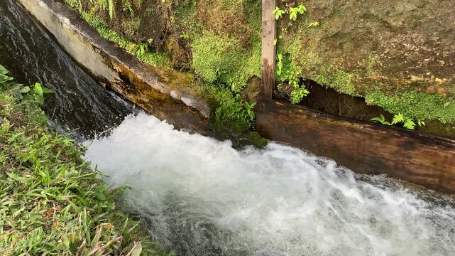 Close up view of river currents or water ripples. Clear fresh water flowing with wooden edge, green leaves plants, rocks and nature surrounding