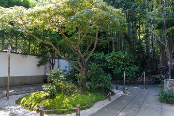鎌倉の報国寺