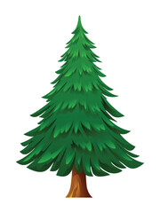 Pine tree cartoon illustration isolated on white background