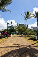 Fototapeta premium the Ala Wai Canal Path along the Ala Wai Canal with lush green palm trees, flowers, hotels and luxury condos, blue sky and clouds in Honolulu Hawaii USA