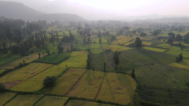 Aerial view of agriculture field at evening time. Beautiful Aerial view of farm land. 