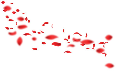 Red Rose Fly Vector Transparent Background. vector illustration