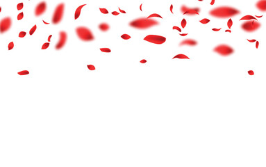 Red Rose Fly Vector Transparent Background. vector illustration