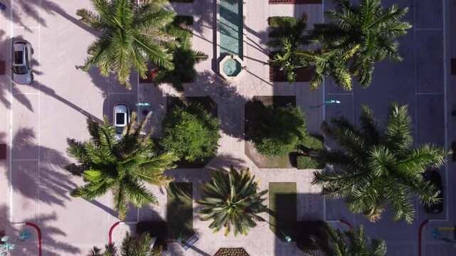 Aerial view of a Boca Raton street with beautiful palm trees.