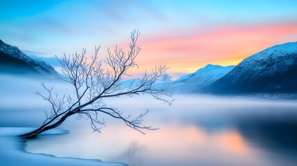 Capture the serenity of a frozen landscape