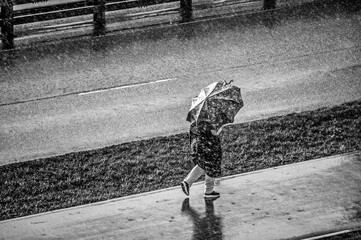 A woman under an umbrella