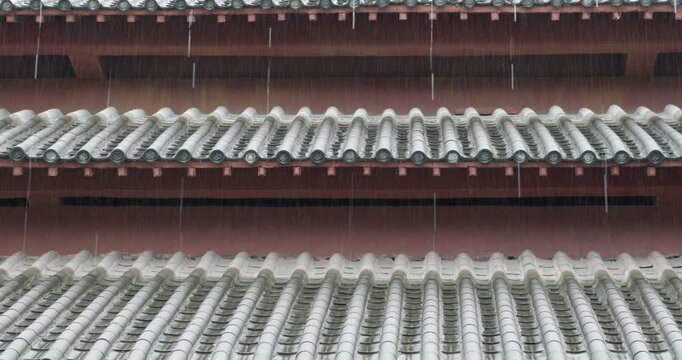 Rain on the roof of the Forbidden City
