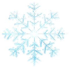 Snowflake white white background celebration.