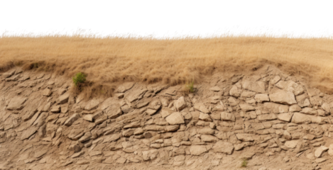 PNG PNG Hilly dry grass fields backgrounds outdoors nature.