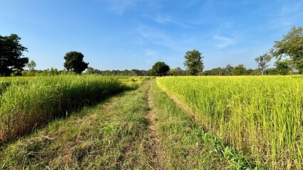 field and sky with clouds