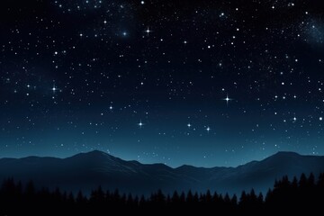 Fototapeta premium New year night sky landscape.