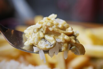 A Delicious, Savory Forkful of Rice Accompanied by a Rich and Creamy Sauce Delight