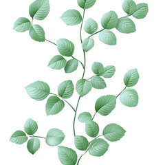 Fototapeta premium Green leaves branch botanical nature design element (Transparent Background)