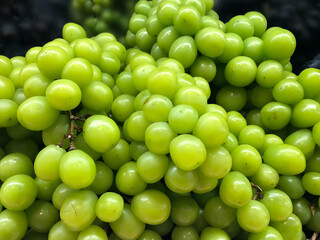 Fresh Shine Muscat Green Grapes Fruit