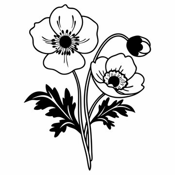 recommend clip art: Anemone Line Art Vector