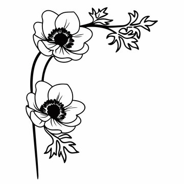 recommend clip art: Anemone Line Art Vector