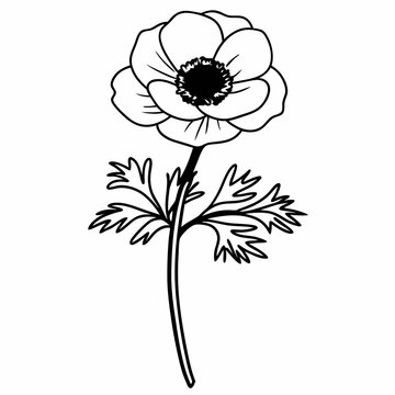 recommend clip art: Anemone Line Art Vector