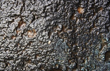 unique wall photo with uneven stone texture, painted black looks natural and classic