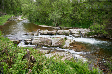 Clear stream flows gently over series of flat rocks, creating small cascades surrounded by lush greenery. Dense foliage and vibrant plants along banks enhance natural beauty of this scenic landscape.