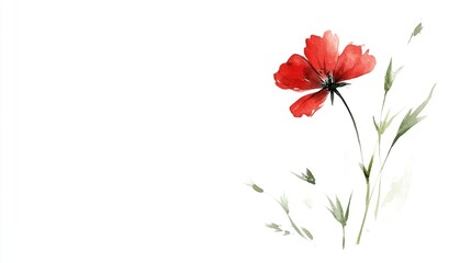 A Delicate Touch: A Single Small Red Wildflower in Watercolor on a Pristine White Background