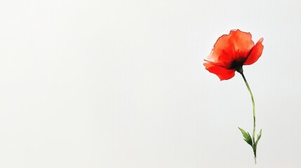 A Delicate Touch: A Single Small Red Wildflower in Watercolor on a Pristine White Background
