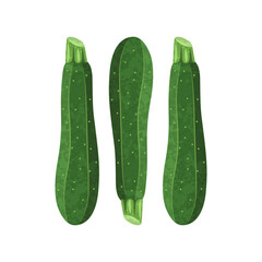 Green zucchini isolated in white