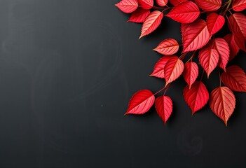 Picture Close-up of autumn leaves with chalkboard texture.