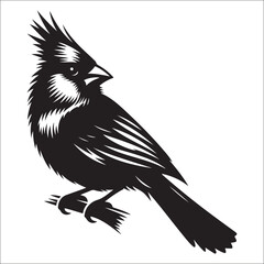 silhouette of a cardinal on white, Sketch of northern cardinal or redbird vector icon, Set of Cardinal Birds Silhouette, Northern cardinal