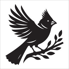 silhouette of a cardinal on white, Sketch of northern cardinal or redbird vector icon, Set of Cardinal Birds Silhouette, Northern cardinal