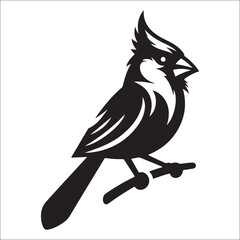 silhouette of a cardinal on white, Sketch of northern cardinal or redbird vector icon, Set of Cardinal Birds Silhouette, Northern cardinal