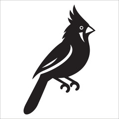silhouette of a cardinal on white, Sketch of northern cardinal or redbird vector icon, Set of Cardinal Birds Silhouette, Northern cardinal