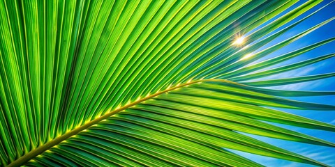 Macro Photography of Lush Green Palm Leaf Against a Clear Blue Sky - Nature's Beauty in Detail, Vibrant Colors, Tropical Vibes, Summer Aesthetic, Relaxing Scenery