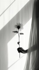Flower hand shadow petal.
