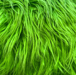 A green, fuzzy, and long-haired animal with a green coat