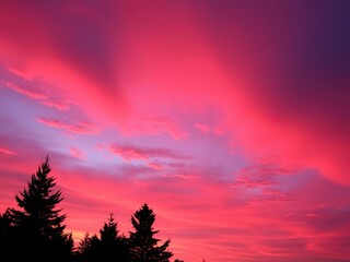 Fototapeta premium Vibrant hues of pink, orange, and purple paint the sky as the sun sets behind silhouetted trees, scenic, beautiful