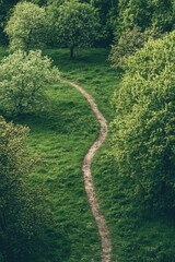 Grassy Field Dirt Path