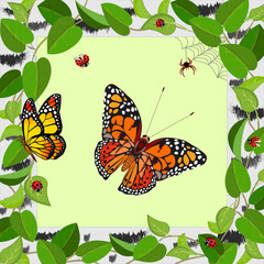 Insects in a frame with leaves.Vector illustration with butterflies and ladybugs in a frame of birch branches.
