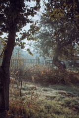 Obraz premium Foggy early morning country rural village yard, majestic morning sun in old house back yard
