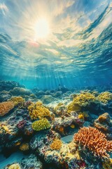 Fototapeta premium Coral Reef with Bright Sunlight
