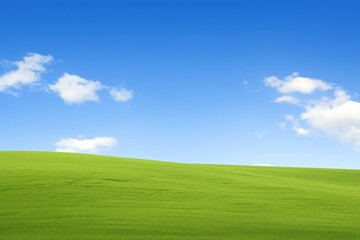 Fototapeta premium Serene grassy field under sky