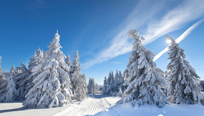 winter landscape with snow covered trees, blue sky and sunshine