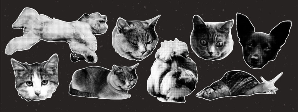Retro punk halftone collage cat and dog set. Trendy elements in retro pop art style.